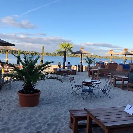 Oasis *