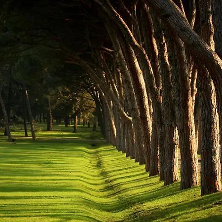 Oasis Διαμέρισμα Valbandon