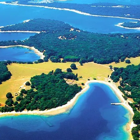 Oasis *